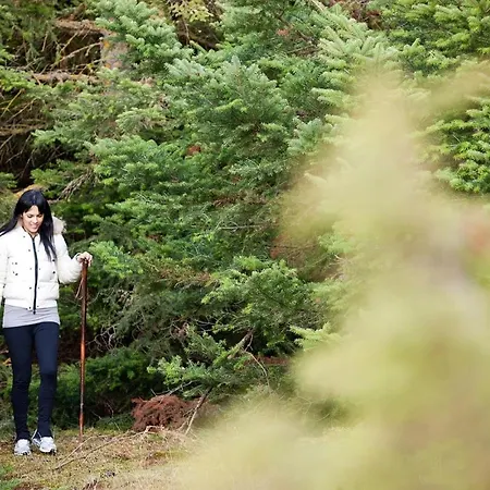 Hotel Canyon & Kalawrita