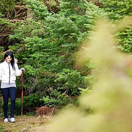 מלון Canyon &