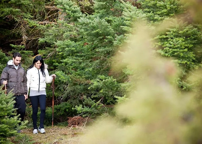 Ξενοδοχείο Canyon & Καλάβρυτα