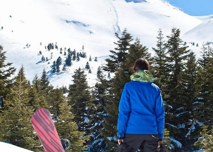 Canyon & Ξενοδοχείο